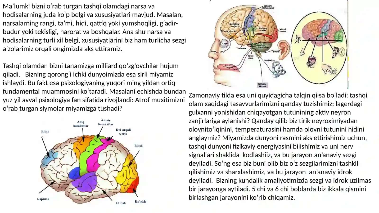 Tasviriy sanat va muhandisslik grafikasi 1-kurs 2-guruh talabasi Ravshanova Sabina 4
