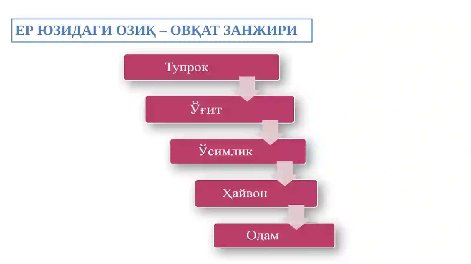 ЕР ЮЗИДАГИ ОЗИҚ – ОВҚАТ ЗАНЖИРИ 4