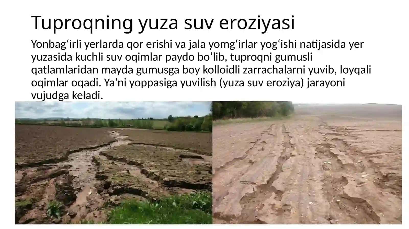Tuproqlarni suv va shamol eroziyasiga chalingan tuproqlarni eroziyalanish darajalari (kuchsiz o‘rtacha va kuchli darajalar) ularni (klassifikatsiya) tasniflash prinsiplari haqida 4