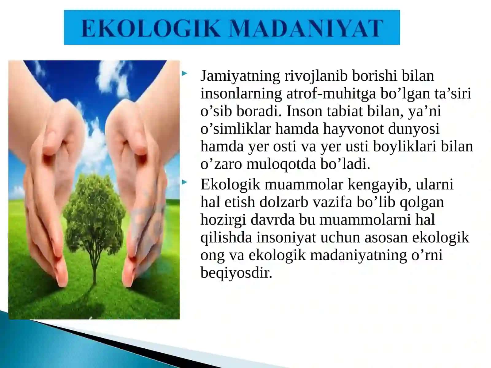 Ekologik madaniyat va ekologik ong 4