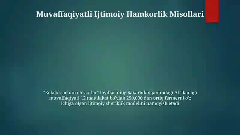 Ijtimoiy sheriklik tushunchasi 4