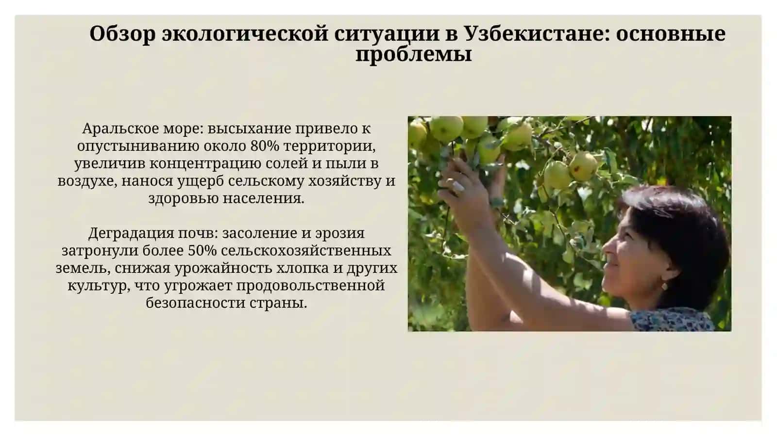 Экологическая политика и экономический механизм ее реализации в Узбекистане 4