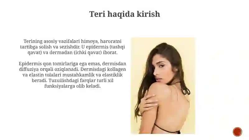 Teri vs soch tuzilishi.Epidermis vs derma qavatlari 4