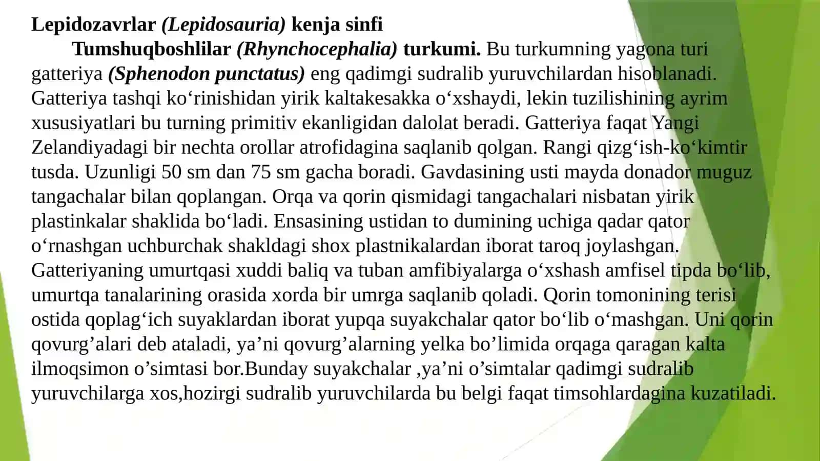 Reptiliyalarnimuhofazaqilishvaularningahamiyati 4