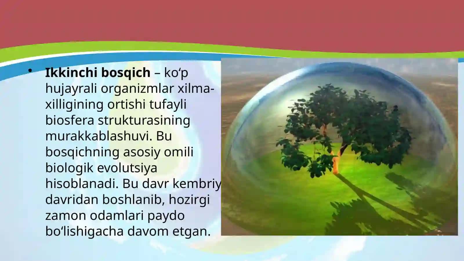 Biosfera evolutsiyasi. Biogenez 4