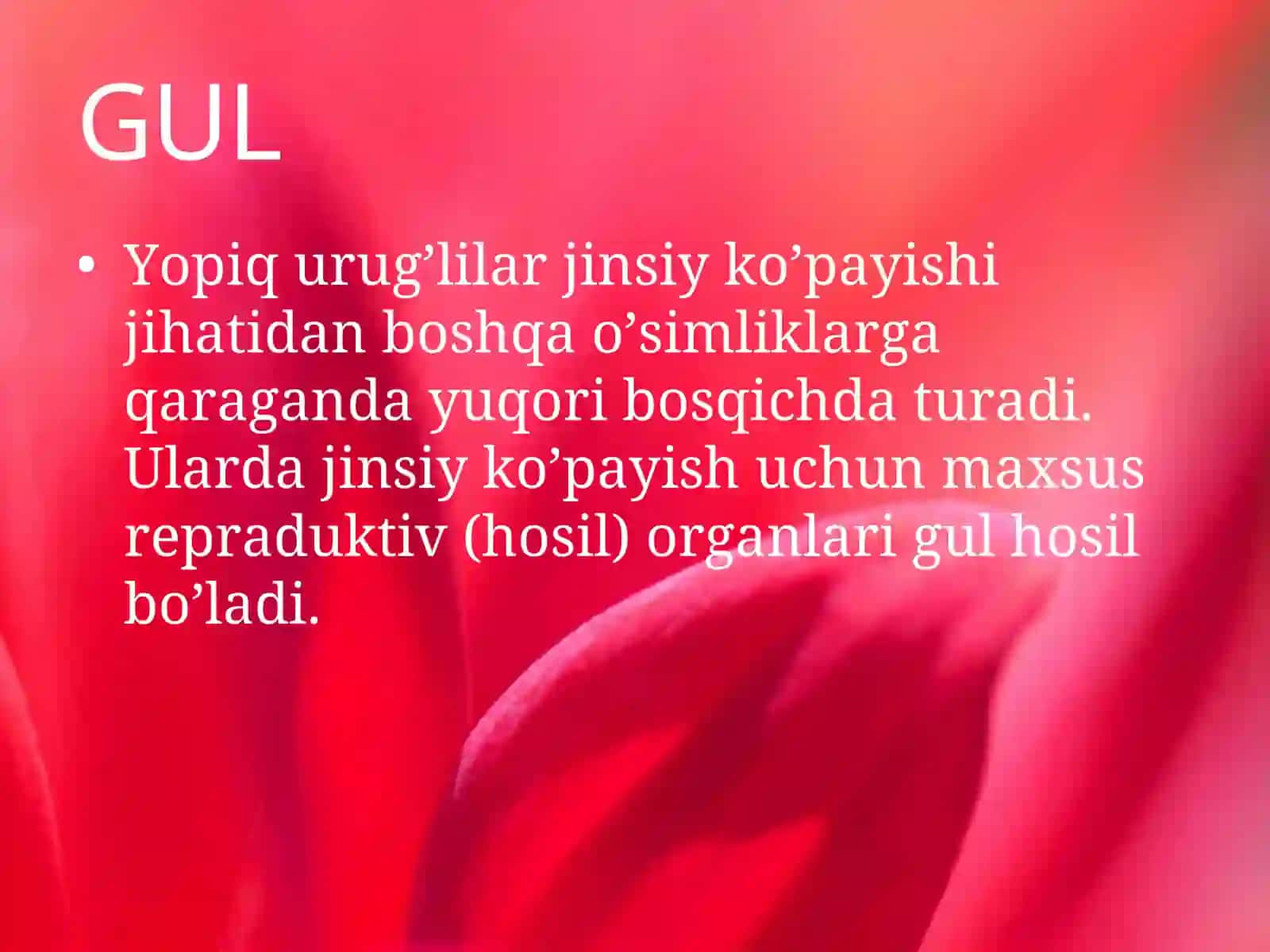 Gulning o’simlik hayotidagi ahamiyati 4