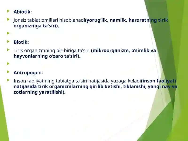 Insonvatabiat 4