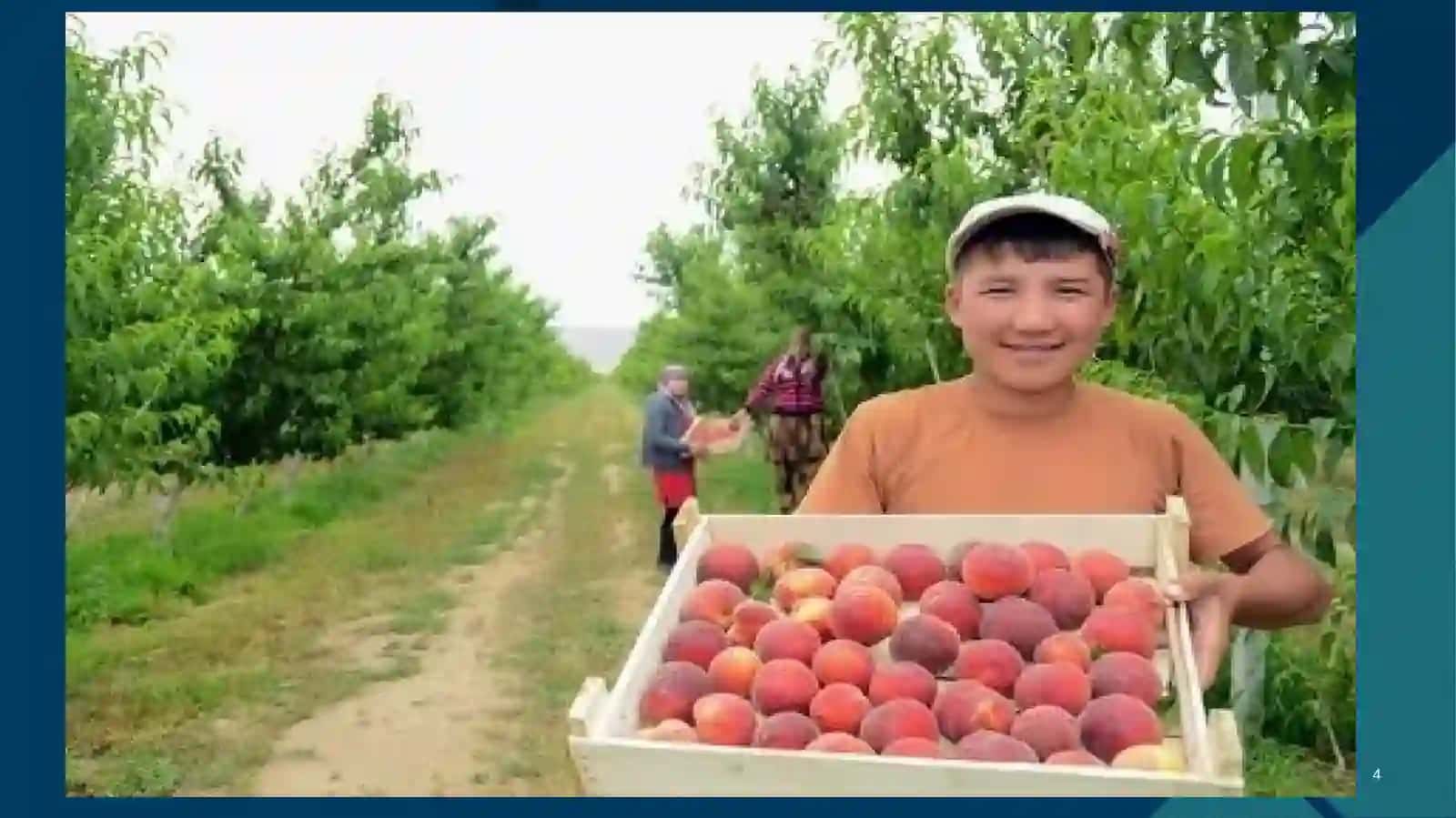 Shaydullayev Behzodning Surxondaryo Etnografiyasidan taqdimoti 4