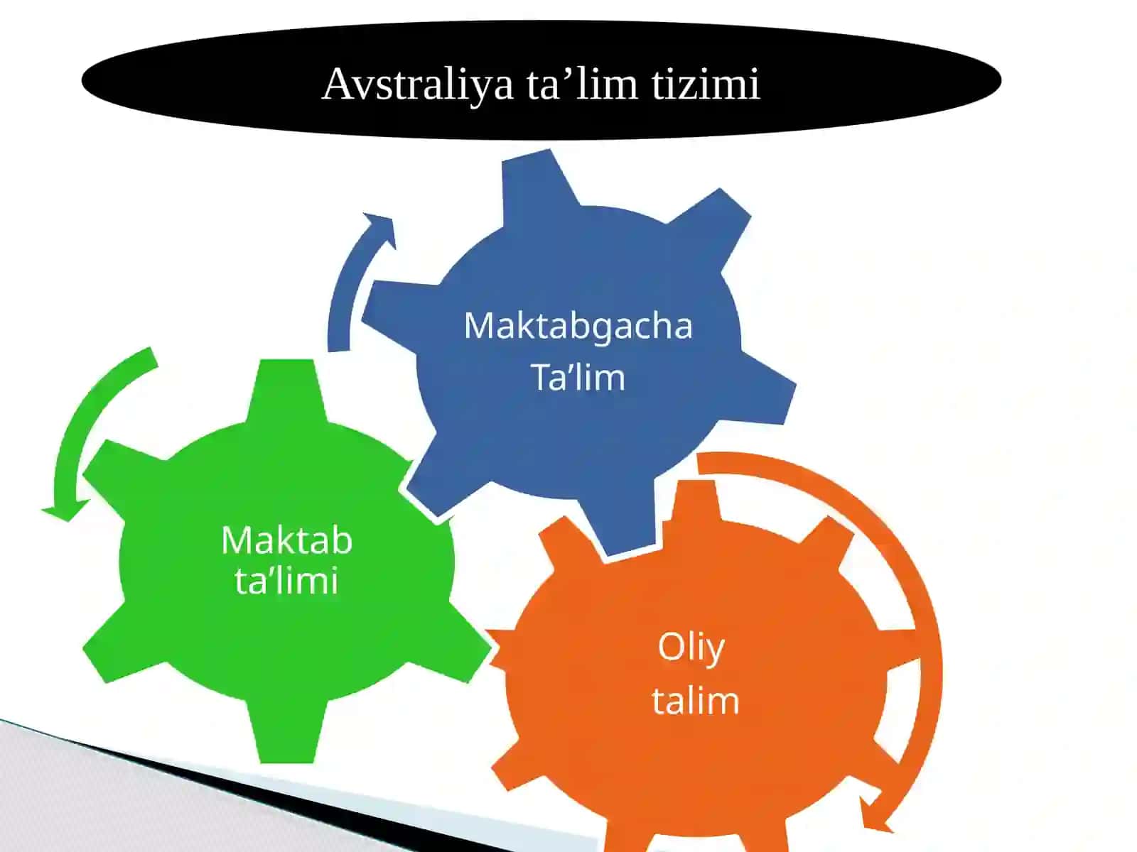 Rivojlangan xorijiy mamlakatlarda ta’lim tizimi 4