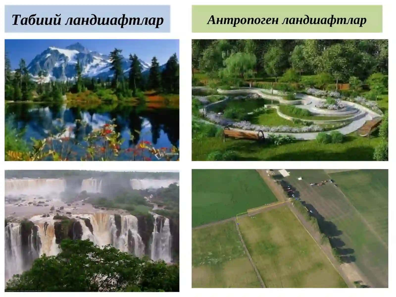 Ландшафт атроф муҳитнинг бир қисми сифатида 4