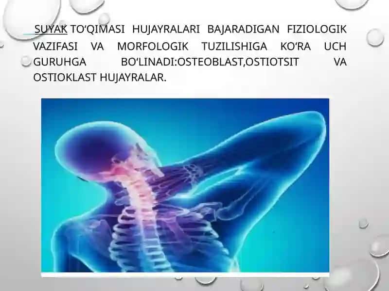 GISTOLOGIYA VA TIBBIY BIOLOGIYA 4