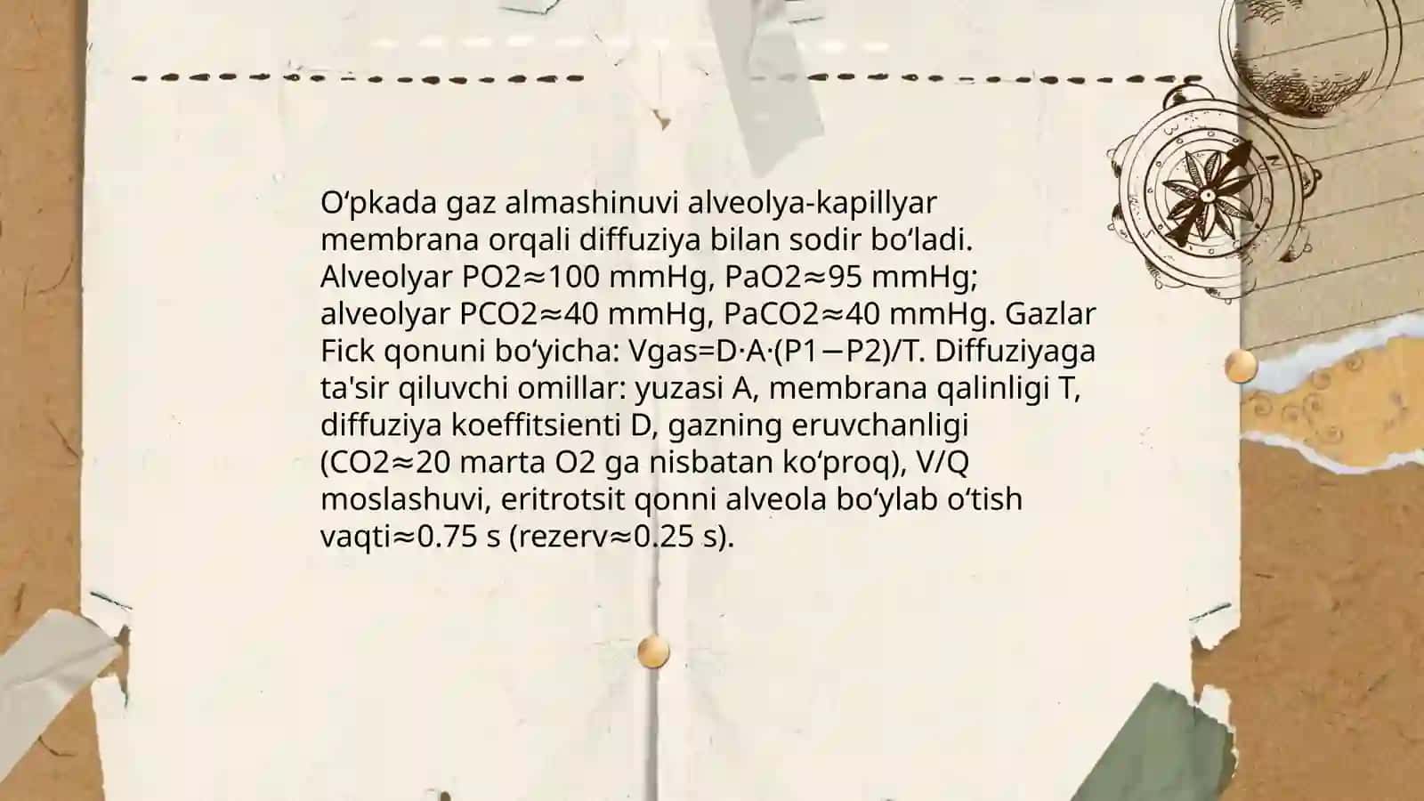 Nafas fizologiyasi. Qonda gazlar tashilishi. Nafas mexanizmi. Gazlar transporti 4