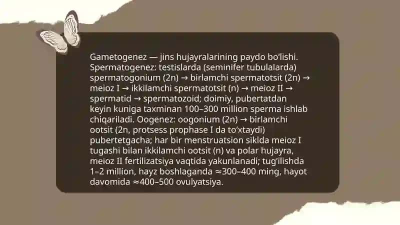 Organizmlarning koʻpayishi. Proembrional rivojlanishning bosqichlari 4