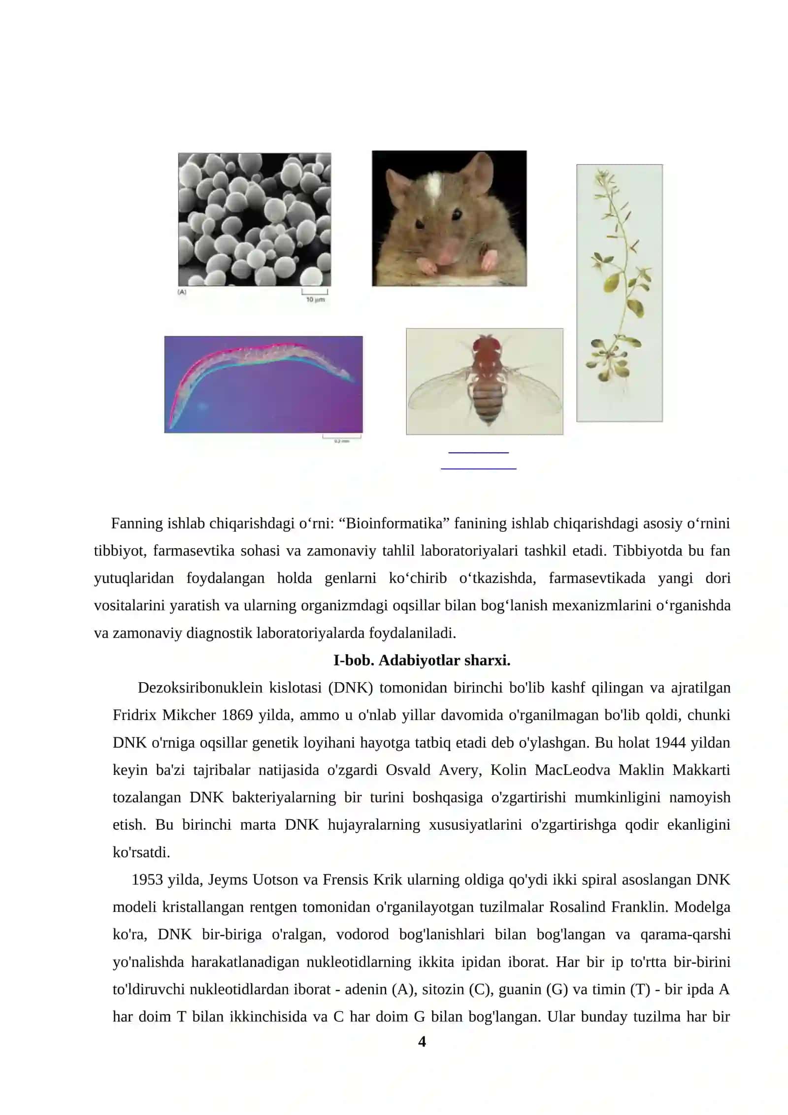 Biologik ketme ketliklarining ko’plik taqqoslanishi 4