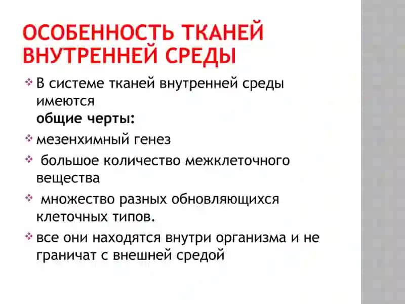 Ткани внутренней среды 4