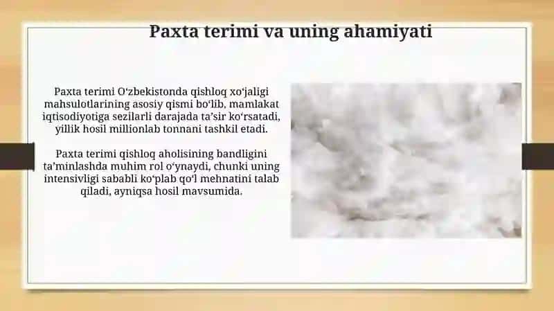 Paxta tozalash mashinalari 4