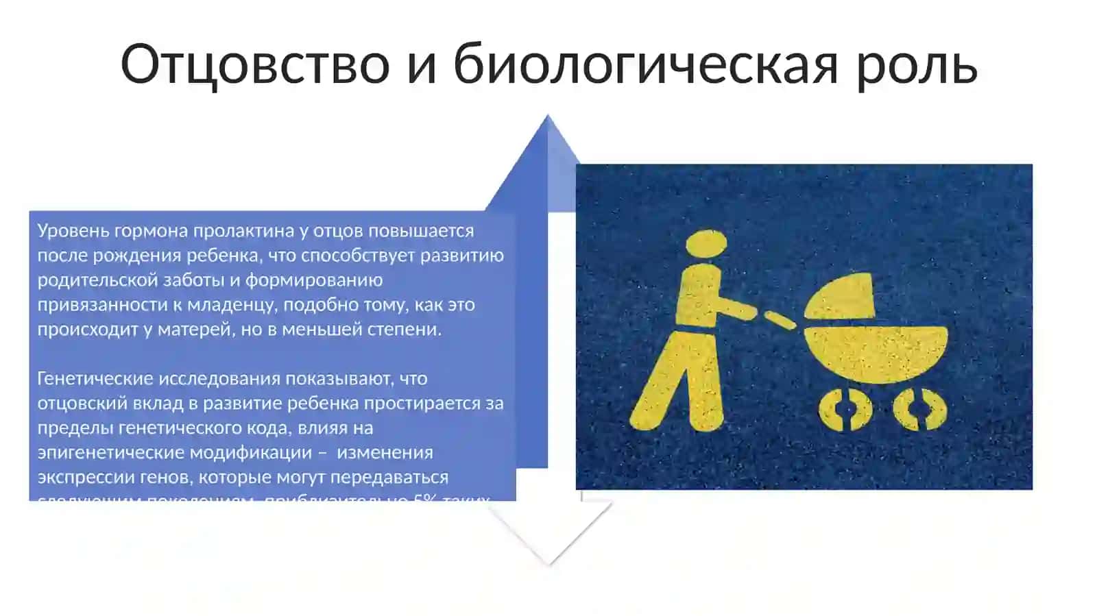 Отцовство как гендерная роль 4