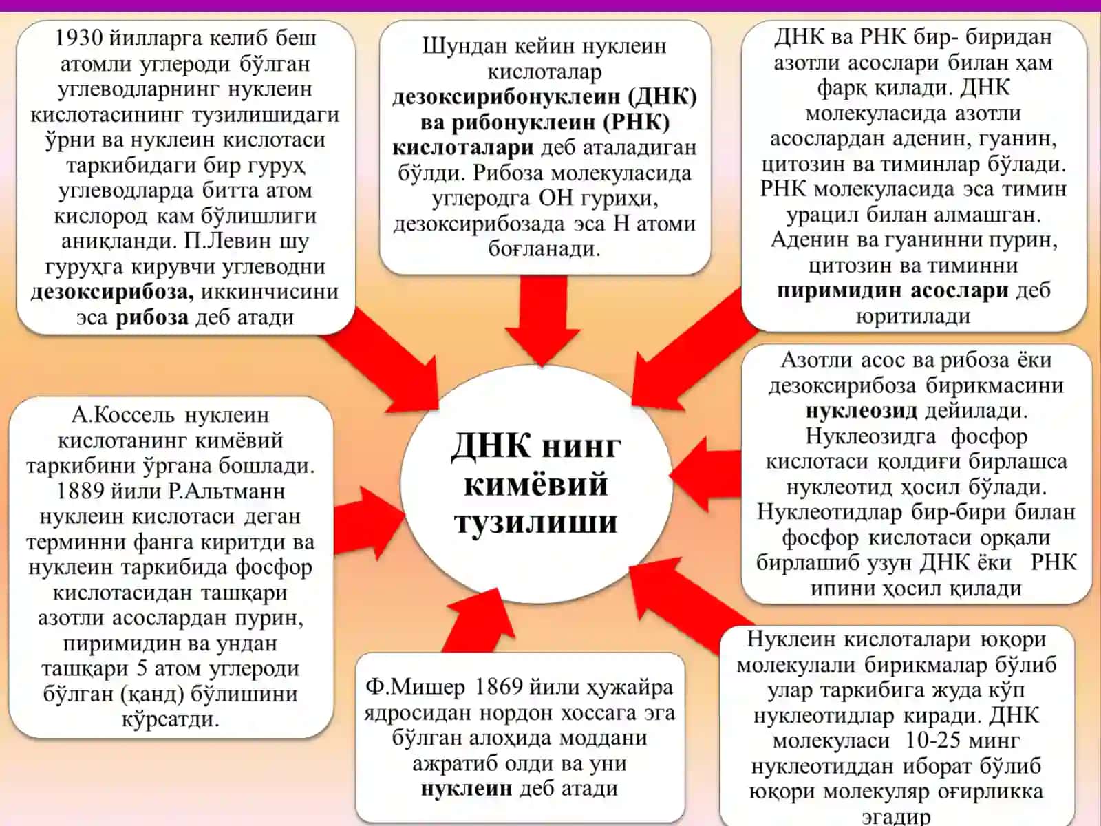 Генетик инженерия. Биотехнология 4