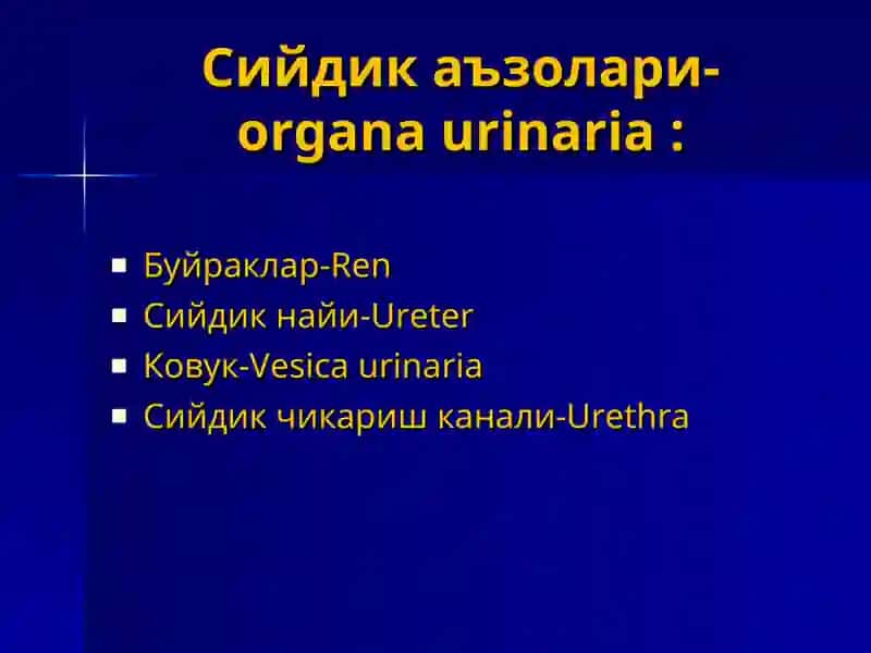 Одам анатомияси ва ОХТА кафедраси 4