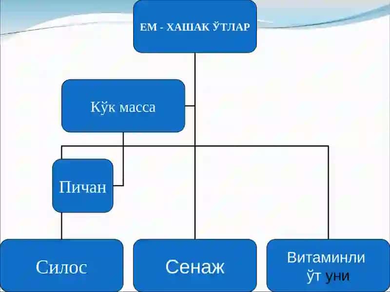 YeM - XAShAK O‘TLARNING AHAMIYaTI 4