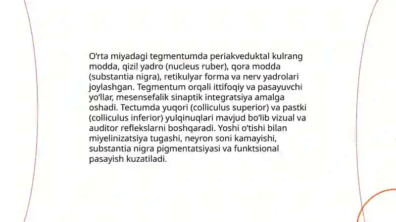 O‘rta miyaning tuzilishi va yoshga qarab o‘zgarishi 4
