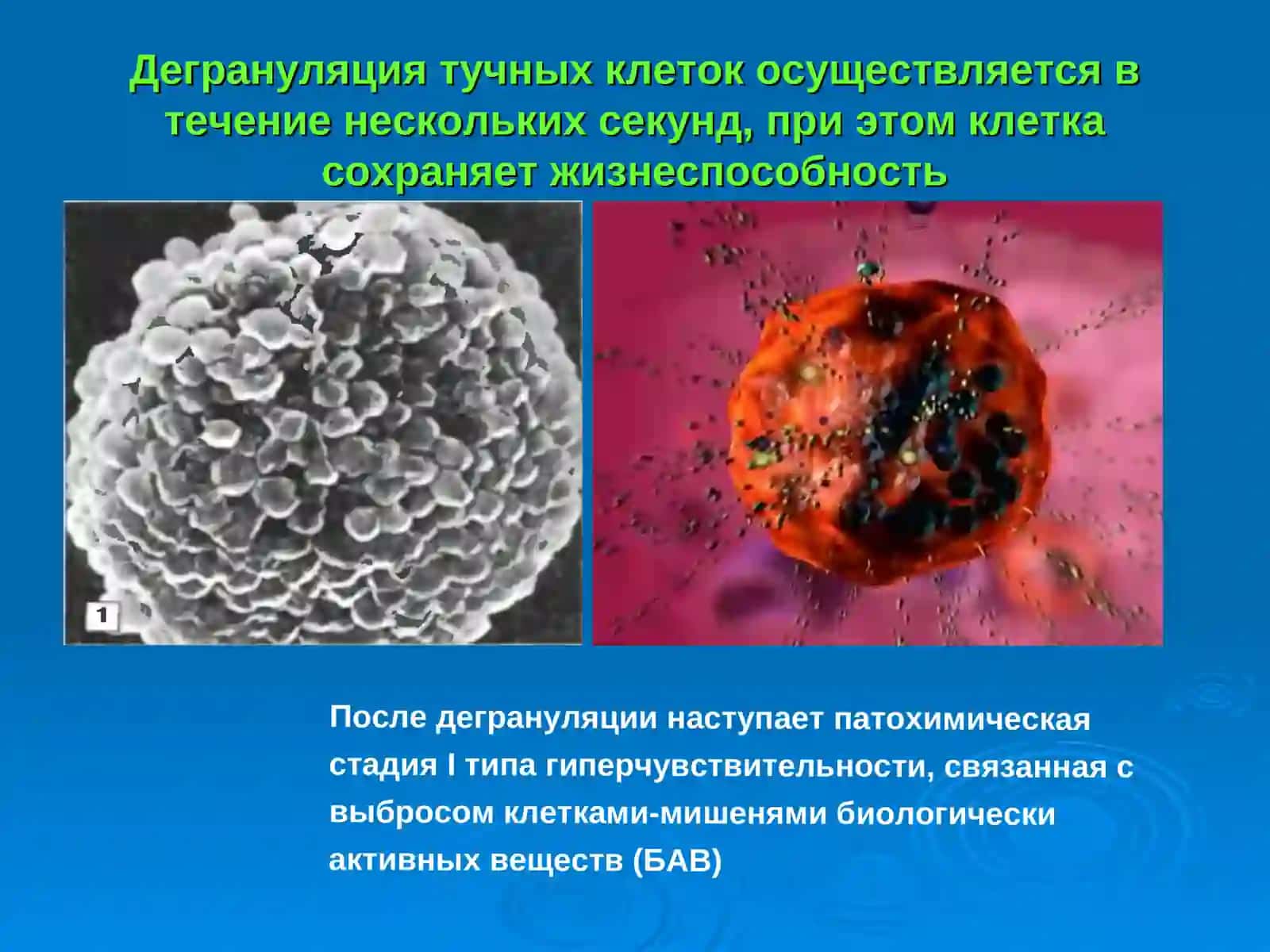 Противоаллергические средства 4