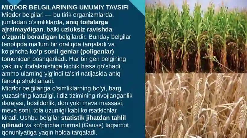 O’simliklarda miqdor belgilari va ularning irsiylanish hada o’zgaruvchanlik tahlili 4