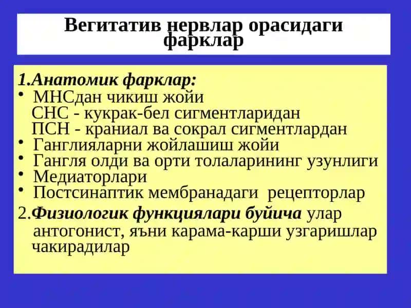 Эфферент иннервацияга таъсирэтувчи воситалар 4
