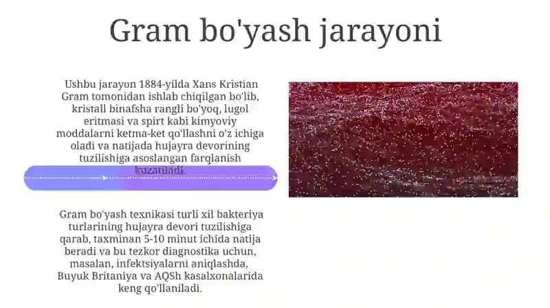 Bakteriyalarni Gramm usulida bo‘yash va differensatsiya qilish 4