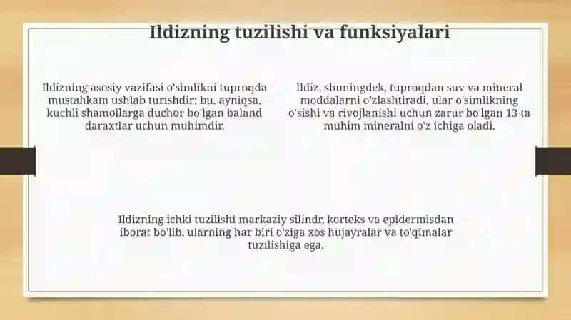 Qutblanish, yuksako'simliklamivegetativ organlari: ildiz, poya va kurtak tuzilishi 4