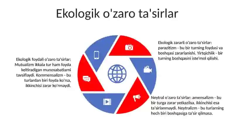 OʻSimliklar Va Hayvonot Dunyosiga Tavsif Berish 4
