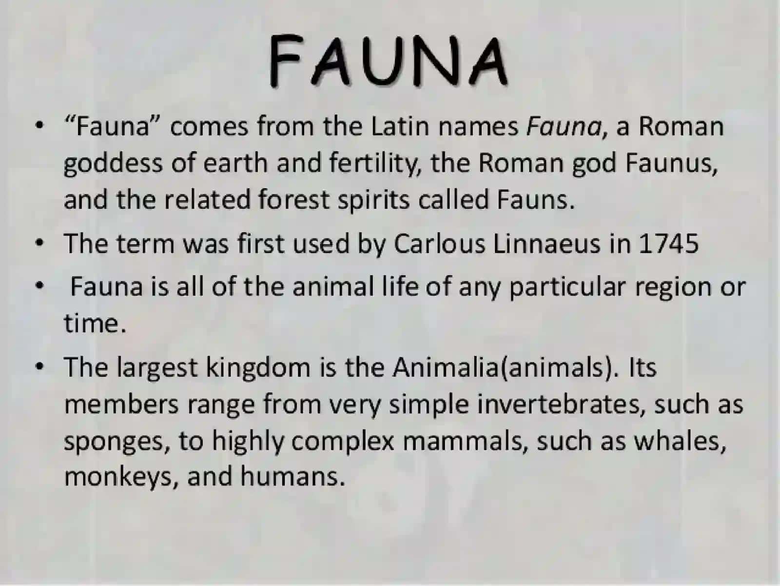 FAUNA 4