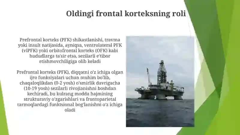 Diqqatning rivojlanishi va buzilishi 4