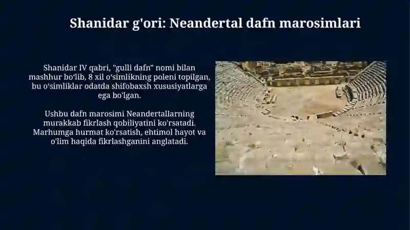 Mustye davri arxeologik yodgorliklari 4