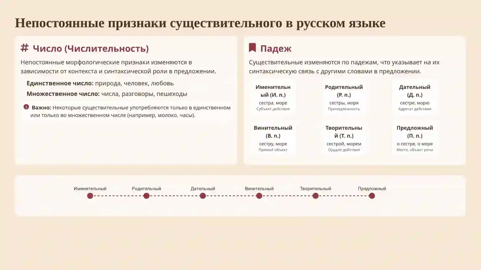 Морфологические признаки имени существительного 4