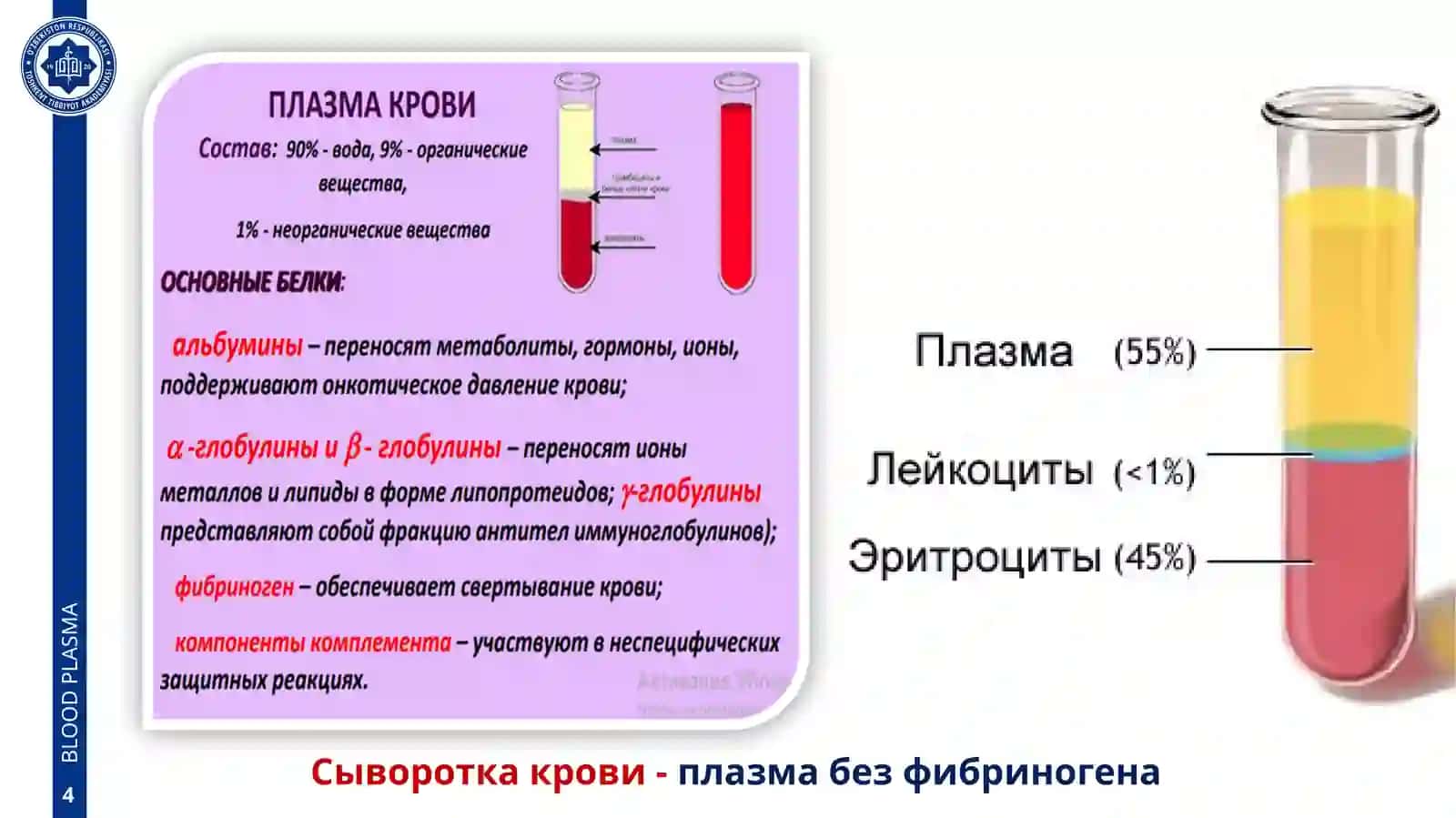 ТКАНИ ВНУТРЕННЕЙ СРЕДЫ.КРОВЬ.КРОВЕТВОРЕНИЕ 4