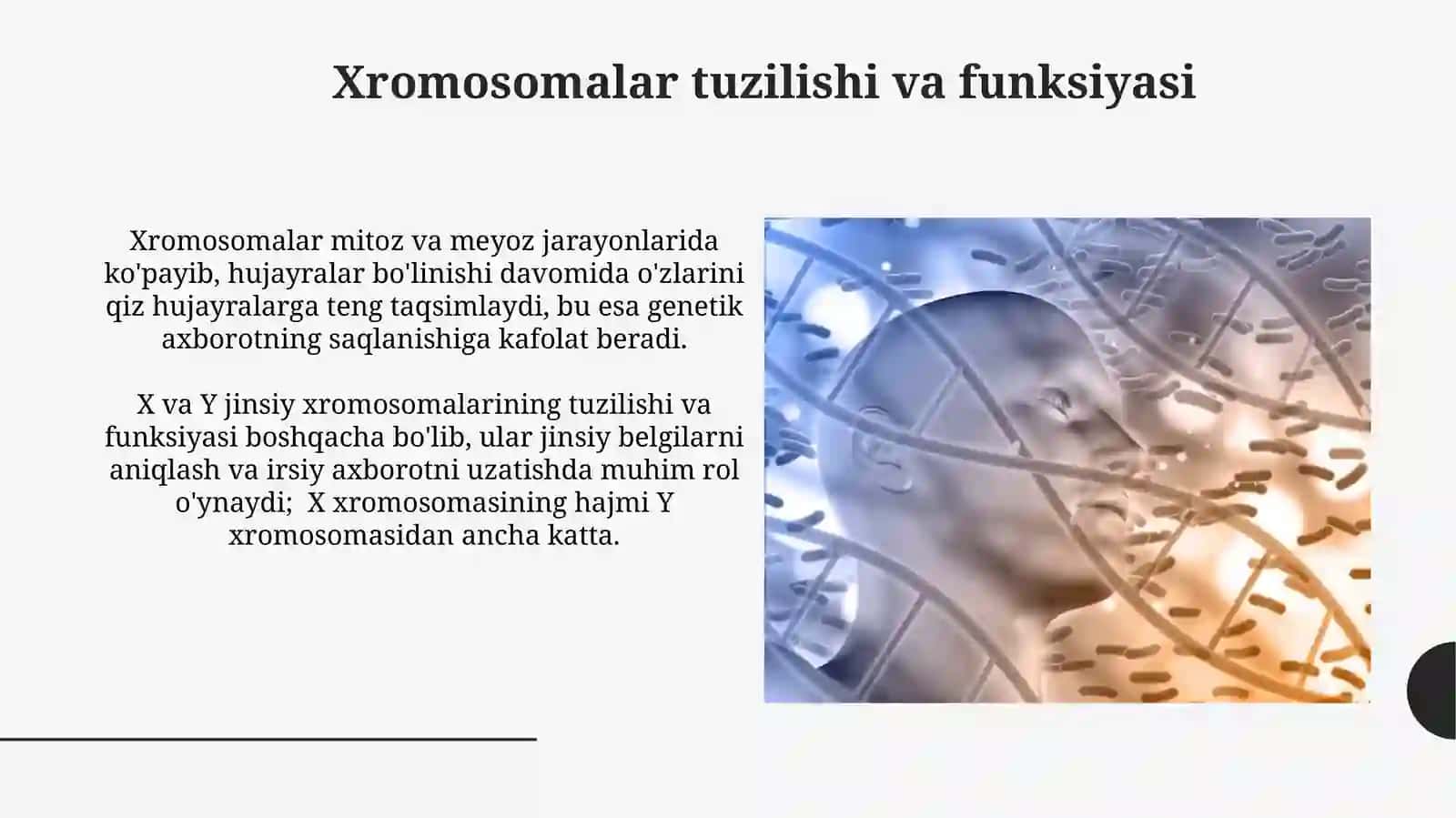Organizmning mutagen ta'sirga chidamliligi 4