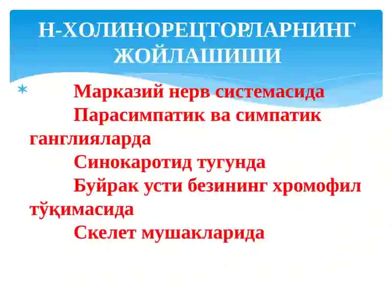 Н – ХОЛИНОРЕЦЕПТОРЛАРГА ТАЪСИР ЭТУВЧИ МОДДАЛАР 4