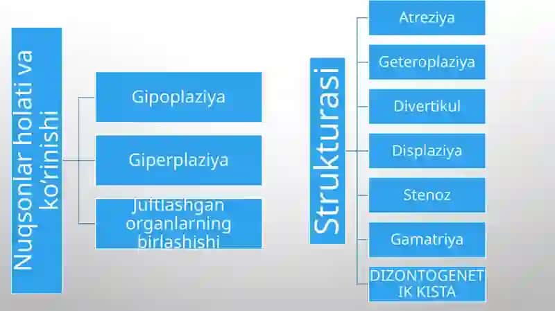 Qon-tomir tug'ma rivojlanish nuqsonlari 4