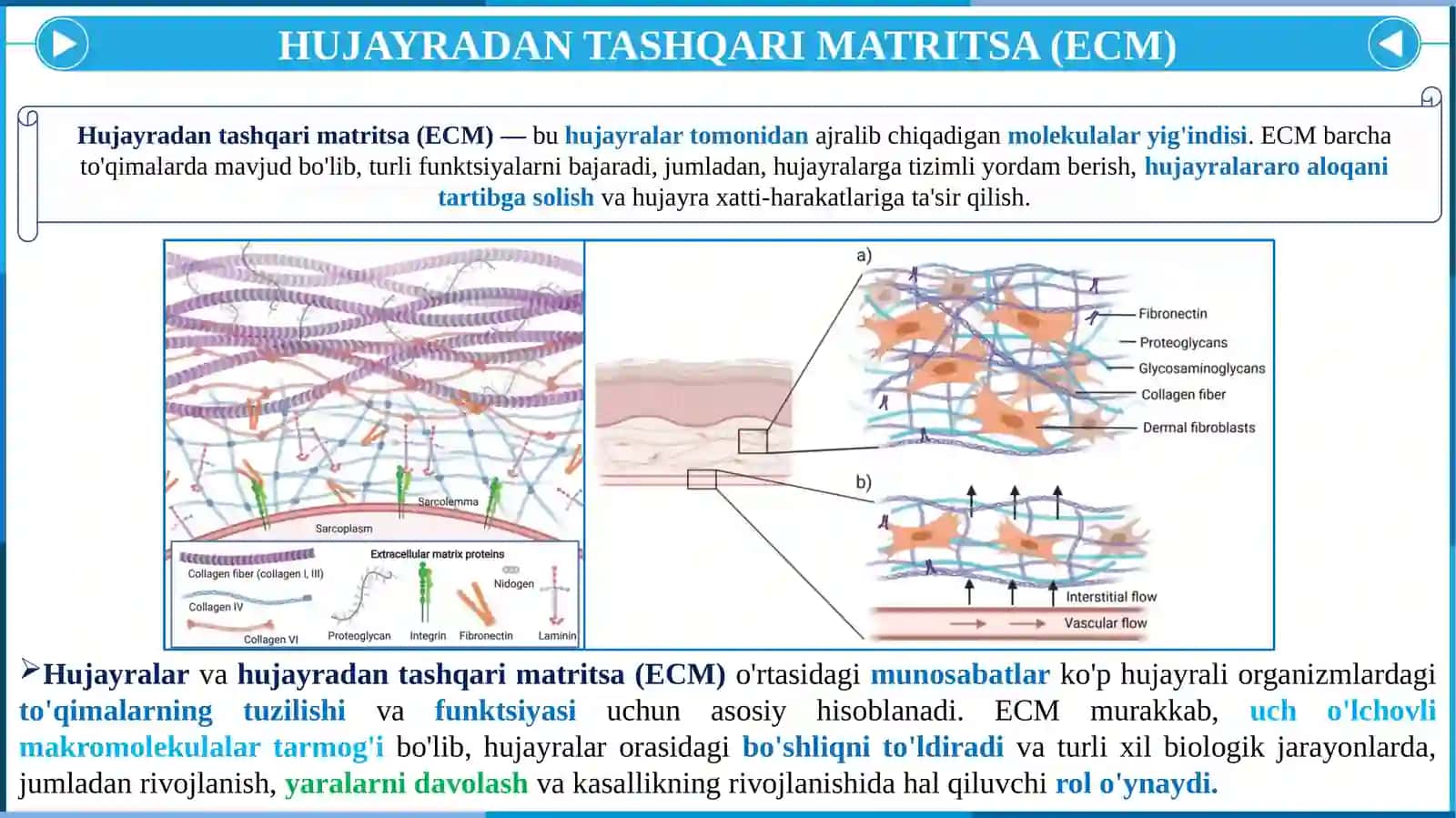 HUJAYRA VA HUJAYRADAN TASHQARI MATRIKS ORASIDAGI MUNOSABATLAR 4