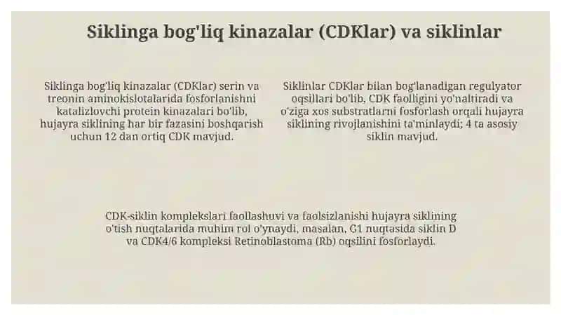 Hujayra sikli va hujayra replikatsiyasi boshqaruvi mexanizmlari 4