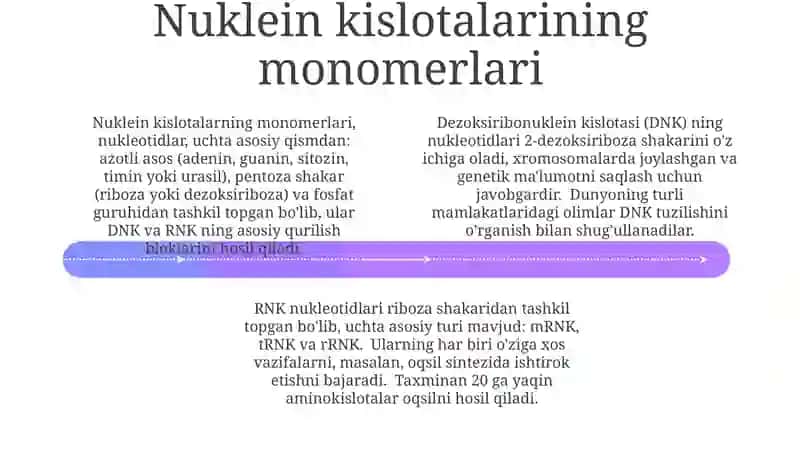 Nuklein kislotalarning tuzilishi 4