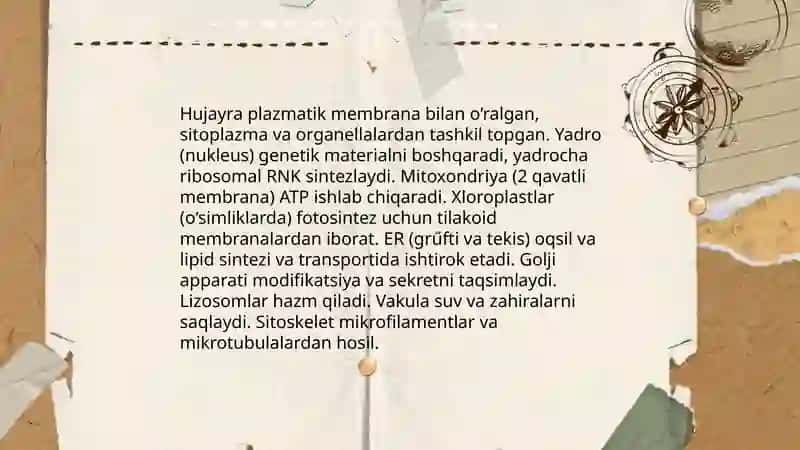 Tiriklik belgilari,hujayraning oziqlanishi,rivojlanishi va koʻpayishi, oʻsimlik anatomiyasi fiziologiyasi 4