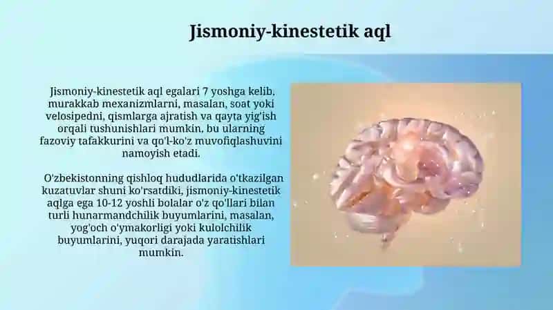 Intelekt nima va uning turlari 4