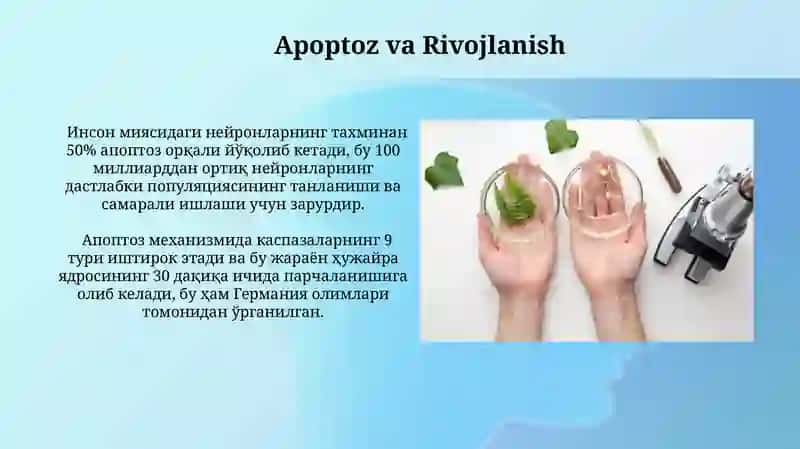Rivojlanish Biologiyasi 4