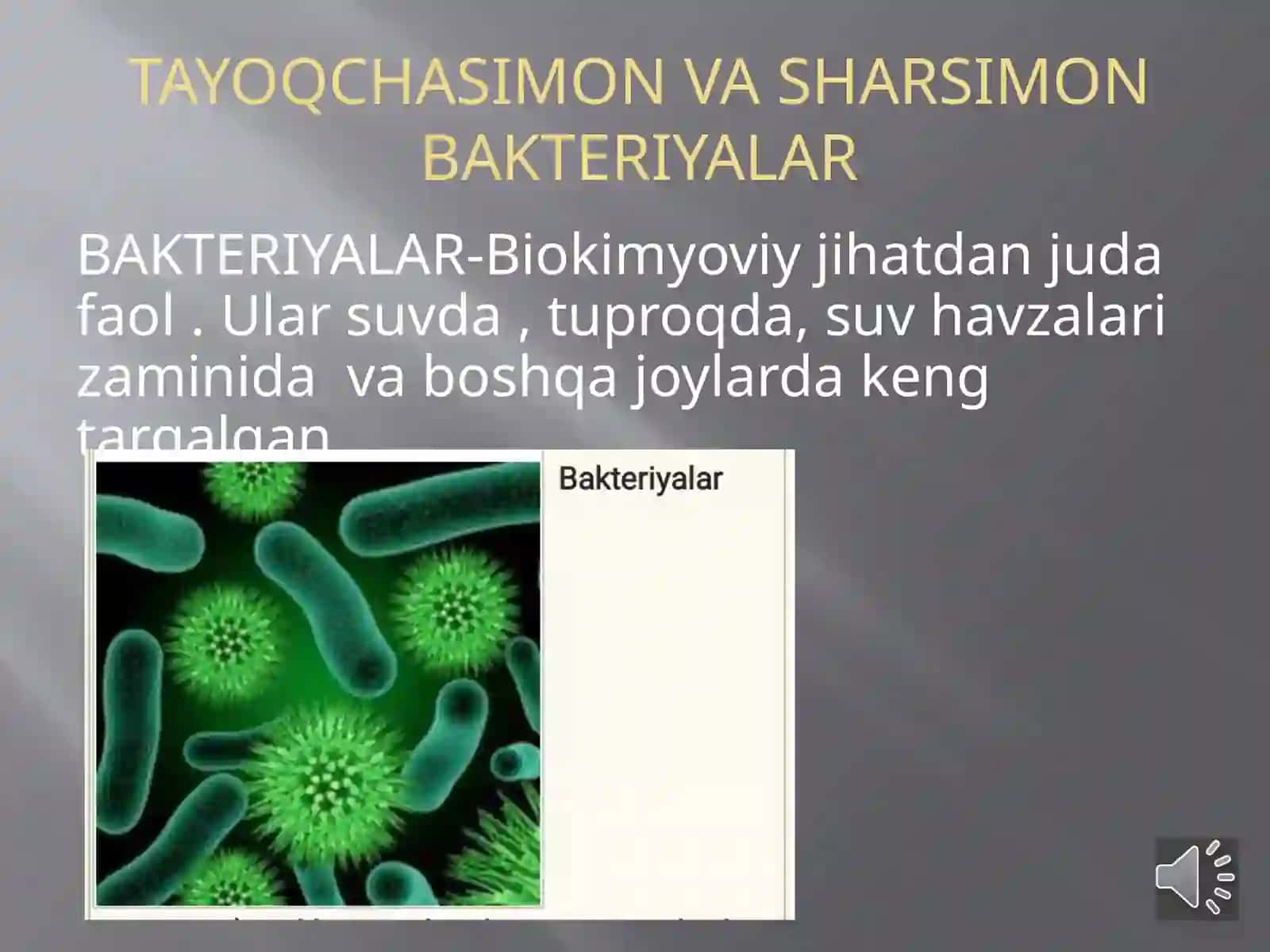 Anaerob va aerob bakteriyalar 4