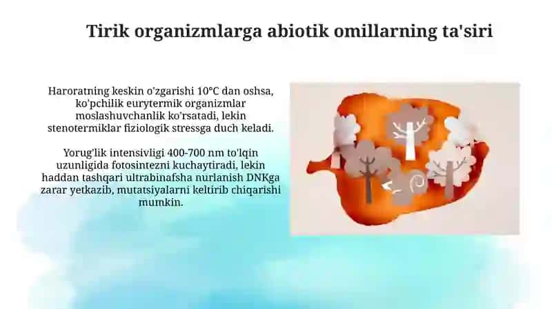 Ekologik omillar ta'sir mexanizmlari 4
