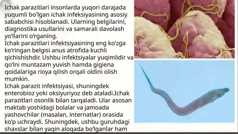Ichak parazitalri: Ichburug’ amyoba, ichak ballandatiyasi 4
