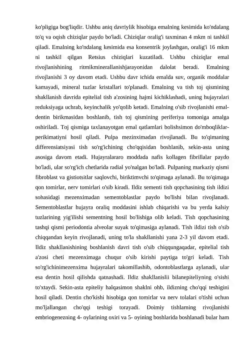 Doimiy tishlovdagi  frontal guruh  tishlarining tuzulishi 4