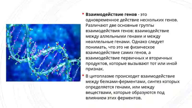 Виды взаимодействия генов 4